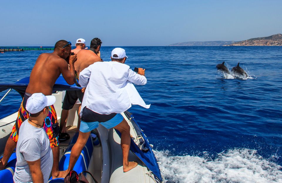 Dolphins & Fish Farm Cruise with a Marine Biologist